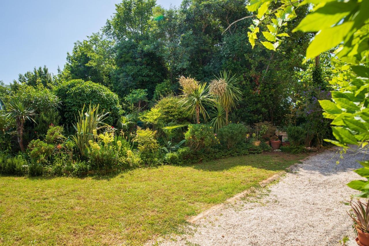 Villa Mareonda - Apartments Sussurro 罗维尼 外观 照片