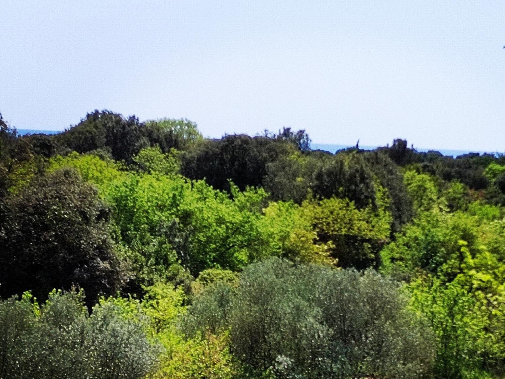 Villa Mareonda - Apartments Sussurro 罗维尼 外观 照片
